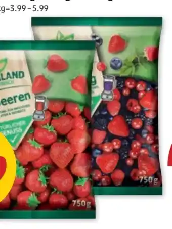 PENNY Greenland Früchte Mix Angebot