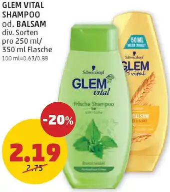 PENNY Glem Vital Shampoo Angebot