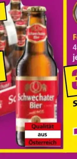 Norma Schwechater Bier Angebot