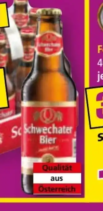 Norma Schwechater Bier Angebot