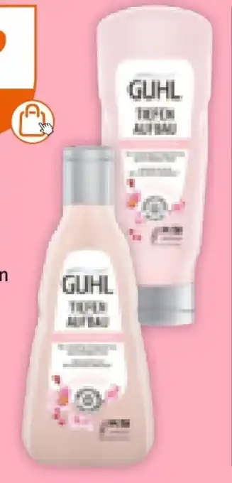 Müller Guhl Shampoo Angebot