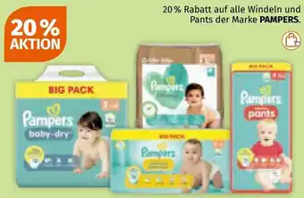 Müller auf alle Windeln und Pants der Marke PAMPERS Angebot