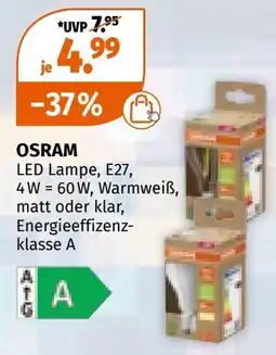 Müller LED Lampe Angebot