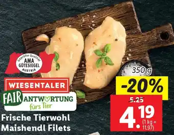 Lidl Frische Tierwohl Maishendl Filets Angebot