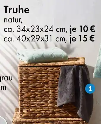 TEDi Truhe Angebot