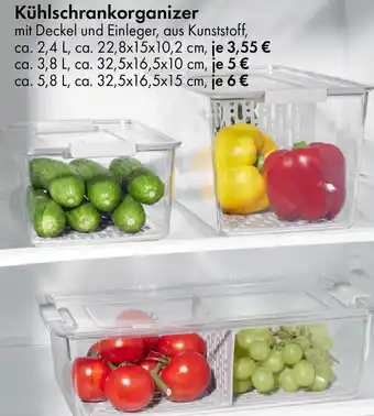 TEDi Kühlschrankorganizer Angebot