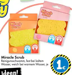 TEDi Miracle Scrub Angebot