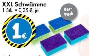 TEDi XXL Schwämme Angebot