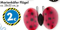 TEDi Marienkäfer Flügel Angebot