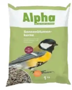 Lagerhaus Alpha Sonnenblumenkerne Angebot