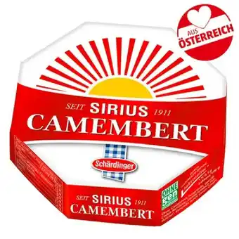 PENNY Sirius Camembert Penny Angebot