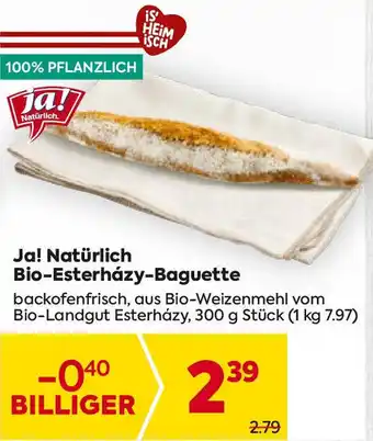 Billa Bio-Esterhazy-Baguette Angebot