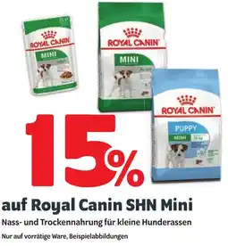 Das Futterhaus auf Royal Canin SHN Mini Angebot