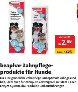 Das Futterhaus beaphar Zahnpflege- produkte für Hunde Angebot