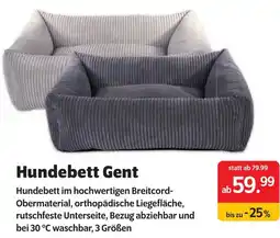 Das Futterhaus Hundebett Gent Angebot