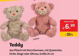 Das Futterhaus Teddy Angebot