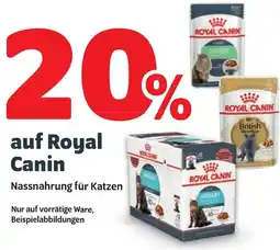 Das Futterhaus auf Royal Canin Angebot