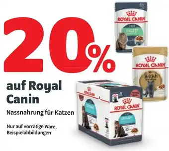 Das Futterhaus auf Royal Canin Angebot