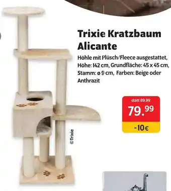 Das Futterhaus Trixie Kratzbaum Alicante Angebot