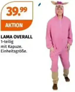 Müller LAMA OVERALL Angebot