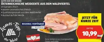 Hofer ÖSTERREICHISCHE WEIDEENTE AUS DEM WALDVIERTEL Angebot