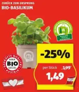 Hofer BIO-BASILIKUM Angebot