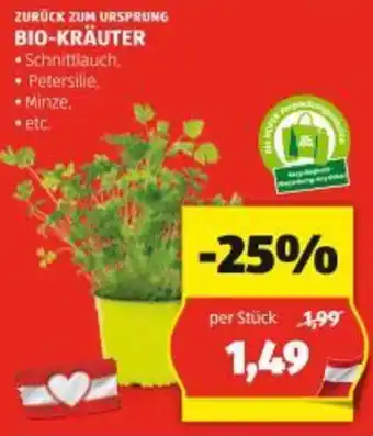 Hofer BIO-KRÄUTER Angebot