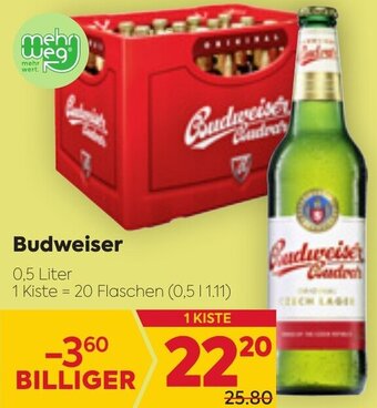 Billa Budweiser 0,5 Liter Angebot