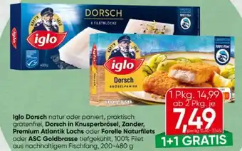 Spar Iglo Dorsch Angebot