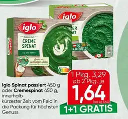 Spar Iglo Cremespinat Angebot