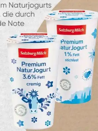 Spar Salzburg Milch Premium Naturjoghurt Angebot