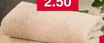 Woolworth Gästetuch Angebot