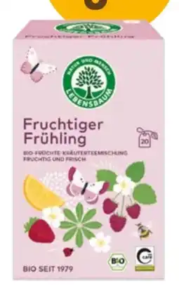 Martin Reformstark Lebensbaum Fruchtiger Frühling Angebot