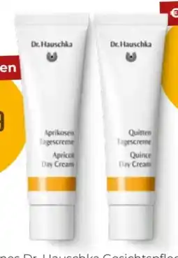 Martin Reformstark Dr. Hauschka Gesichtspflege Angebot