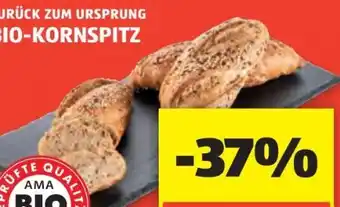 Hofer Zurück zum Ursprung Bio-Kornspitz Angebot