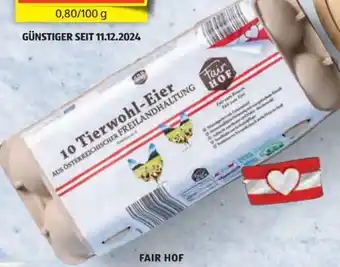 Hofer FairHof Eier Angebot