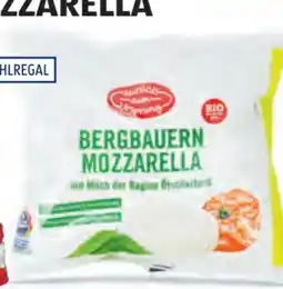 Hofer Zurück zum Ursprung Bio-Mozzarella Angebot