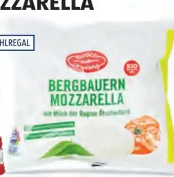 Hofer Zurück zum Ursprung Bio-Mozzarella Angebot