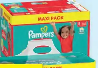 Hofer Pampers Baby Dry Pants Angebot