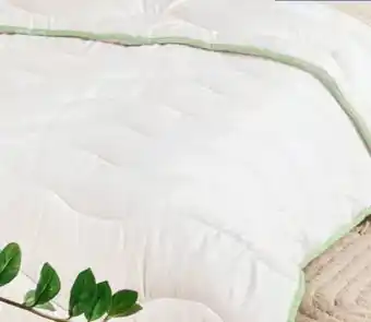 Hofer Novitesse Eco Steppbett Angebot