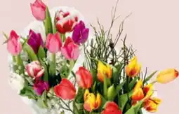 Hofer Tulpensträuße Angebot