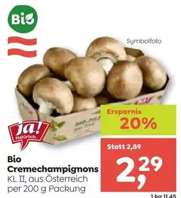 ADEG Bio Cremechampignons Angebot