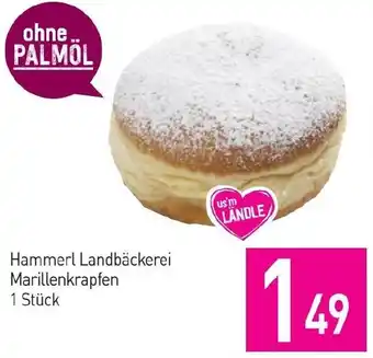 Sutterlüty Hammerl Landbäckerei Marillenkrapfen Angebot