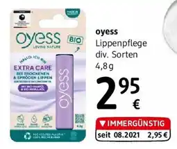 dm Lippenpflege Angebot