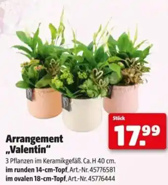 Hagebau Arrangement Valentin Angebot