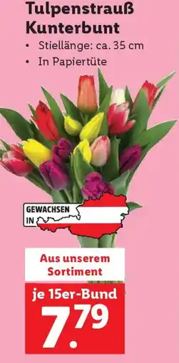 Lidl Tulpenstrauß Kunterbunt Angebot