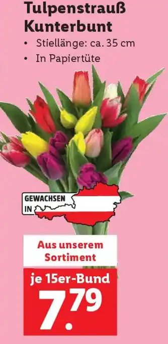 Lidl Tulpenstrauß Kunterbunt Angebot