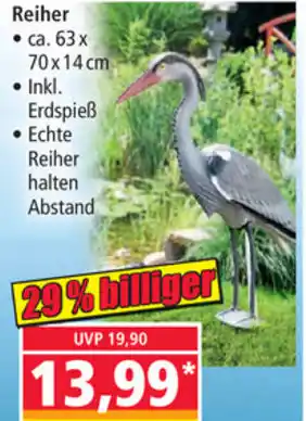 Norma Reiher 63x70x14 cm Angebot