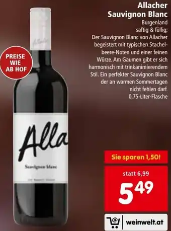 Interspar Allacher Sauvignon Blanc Angebot