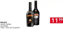 Transgourmet Baileys Angebot